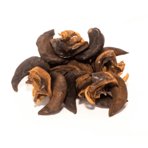 Dried Snail