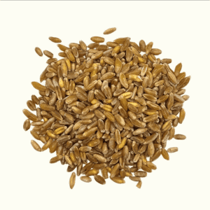 Wheat